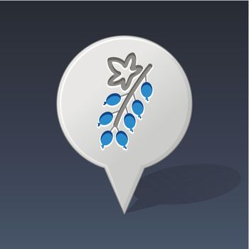 Currant pin map icon. Fruit vector illustration