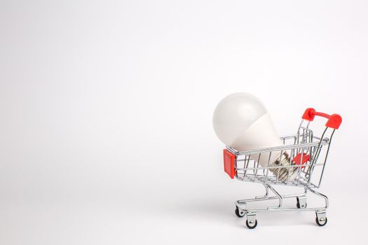 LED light bulbs on a cart, Isolated on white background. The concept of selling and buying business ideas