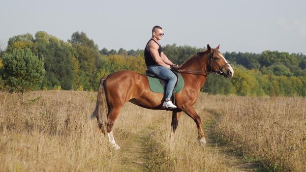 Muscular man riding horse in the field