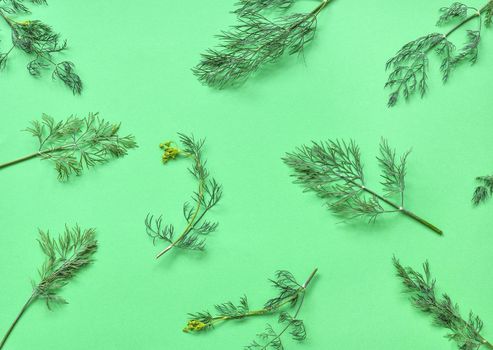 Dill isolated. Pattern of dill on a green background. Juicy bright green dill leaves. Herbs flat lay, top view.