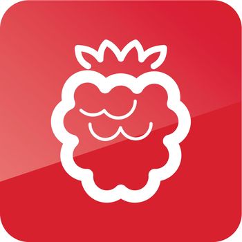 Raspberry outline icon. Fruit