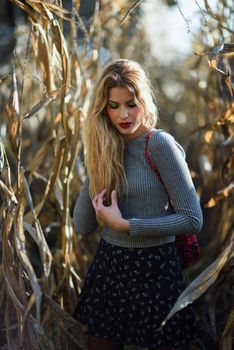 Blonde young woman in a cornfield wearing sweater and skirt