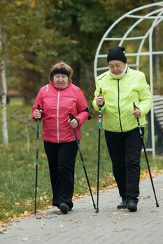 Old women in jackets walking on sidewalk in an autumn park during a scandinavian walk