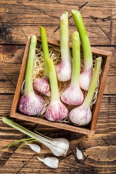 Young Spring garlic bulbs and cloves in wooden box. Wooden background. Top view