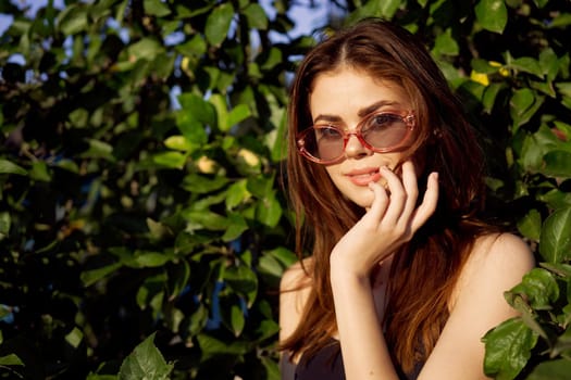 glamorous woman wearing sunglasses summer posing nature tropics
