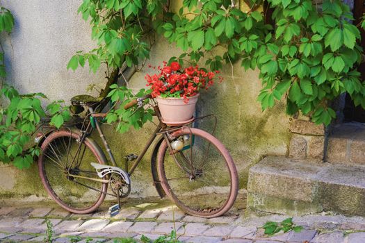 Old rusty bicycle with flowers in a basket