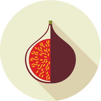 Fig flat icon. Tropical fruit