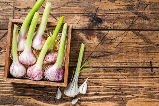 Young Spring garlic bulbs and cloves in wooden box. Wooden background. Top view. Copy space
