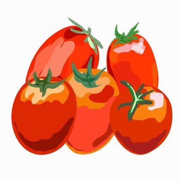 Red oval shaped tomatoes on a white background