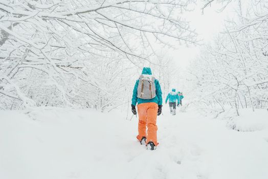 Travelers walking in winter