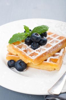 Delicious waffles with blueberris