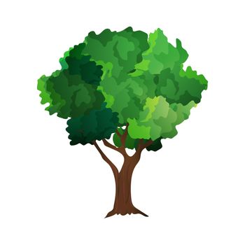 Green tree isolated on a white background. Vector tree. Element for the design of parks, cities and squares.