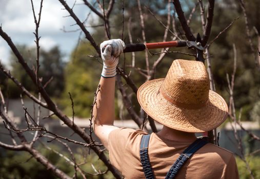 A gardener is cutting tree branches with a big pruner