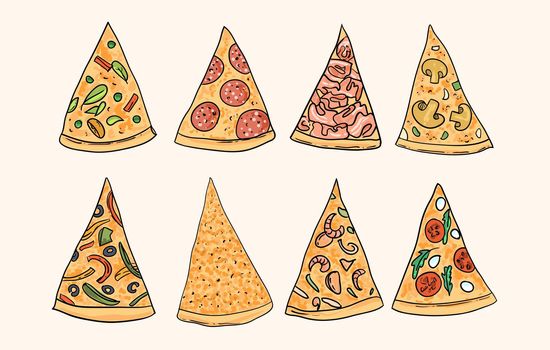 Pizza vector illustration. Hand drawn beautiful food illustration.