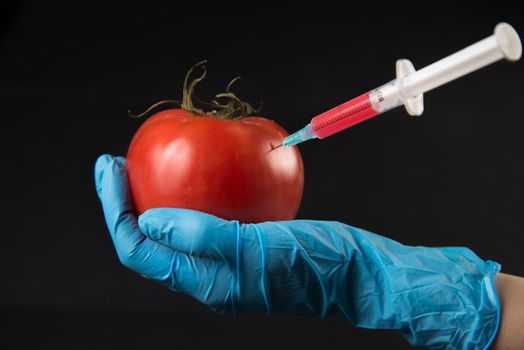 Genetic injection into tomato