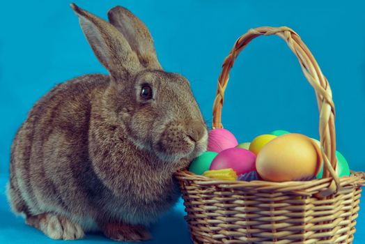 Brown rabbit with basket of colored eggs