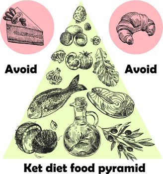 Hand drawn vector illustration KetoDiet nutrition and 