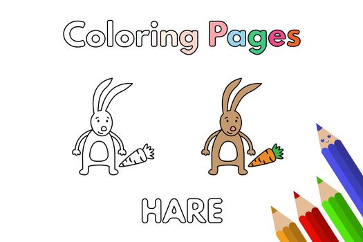 Cartoon Hare Coloring Book