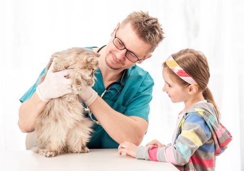 Vet doctor checking cat for diseases