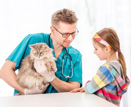 Vet doctor checking cat for diseases