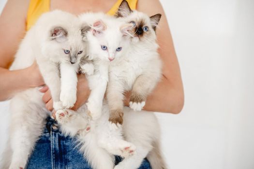Owner holding ragdoll cats