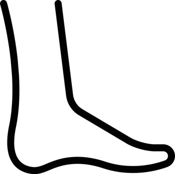 foot 