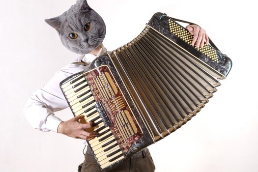 Collage of a man and with a cat head emotionally playing the accordion