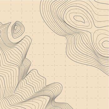 Abstract Topographic Contour Map