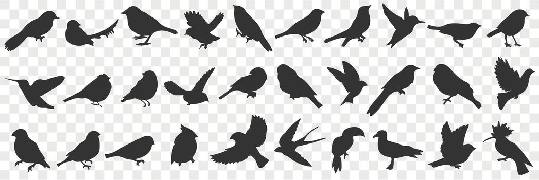 Silhouettes of birds doodle set