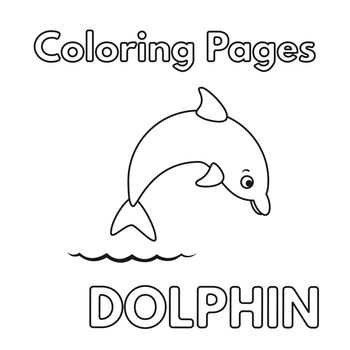 Cartoon Dolphin Coloring Book
