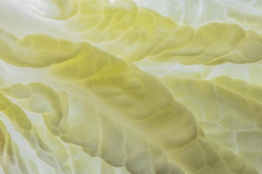 Macro pattern background from Napa cabbage
