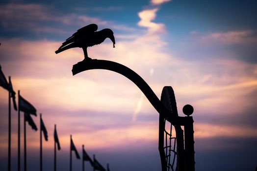 silhouette of iron crow