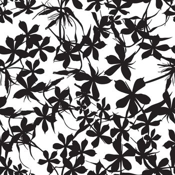 Seamless background with flowers of beautiful hand-drawn silhouette phlox