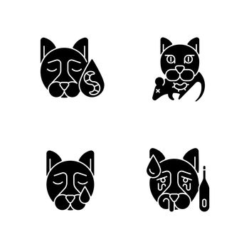Pet infections black glyph icons set on white space