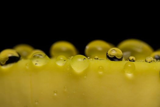 Macro water droplets on yellow plants
