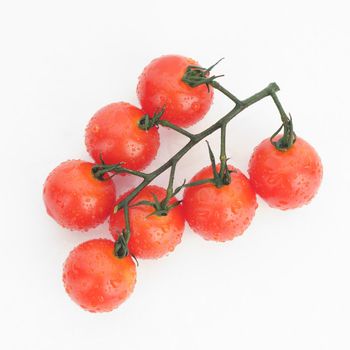Ripe cherry tomatoes on a twig on a white background