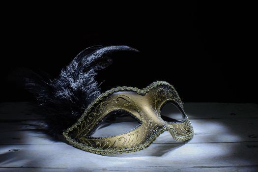 The Venetian mask with feather 