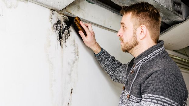 Bearded man removes black mold on the wall after leakage - Image