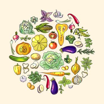 hand drawn illustration vegetables