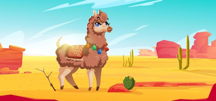 Cute alpaca in mexican desert with cactuses