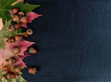 Autumn decoration with rustic leaves and acorns on dark stone