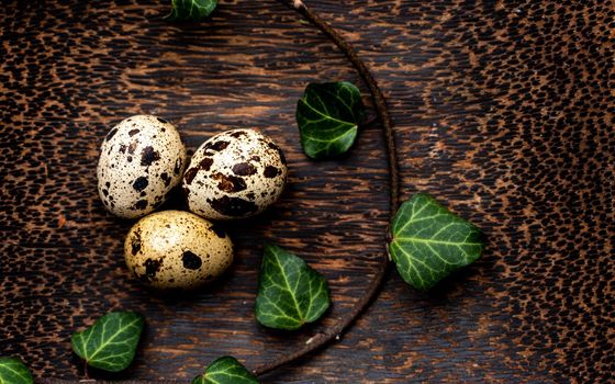 three quail eggs on a wooden stand. Palm tree stand. Around the eggs is a sprig of ivy.