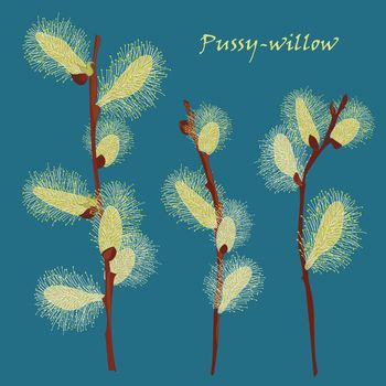 Beautiful pussy willow branches, vintage style