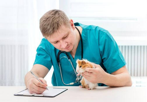 Veterinary doctor examining pet and making notes