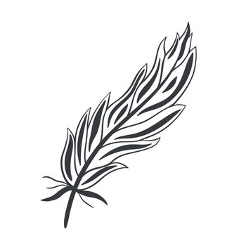 Graceful curved bird feather sketch hand drawing.