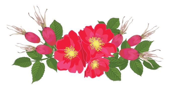 Set red flowers of rose with leaves in realistic hand-drawn style