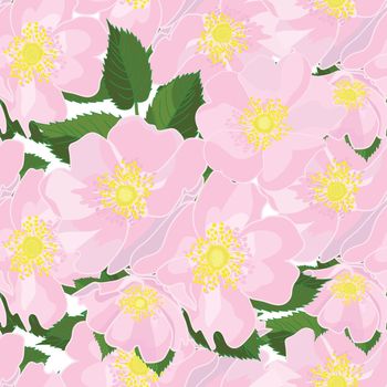 Seamless floral dog-rose background in realistic hand-drawn style.