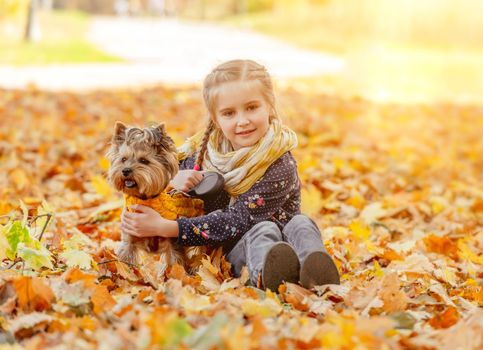 Cute girl with yorkshire terrier