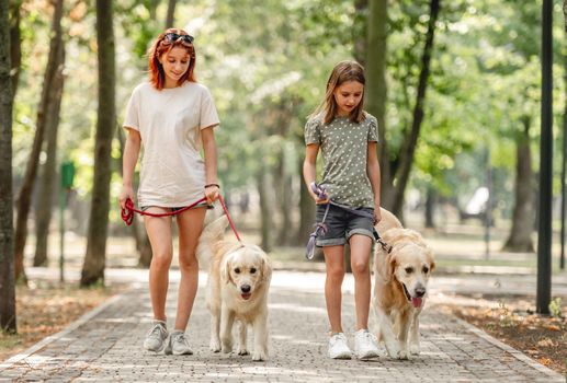 Girls with golden retriever dogs walking in the park. Beautiful sisters walking with pets doggies at nature together