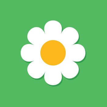 Chamomile flower vector icon in flat style. Daisy illustration on green isolated background. Camomile sign concept.